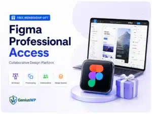 Figma Professional Access